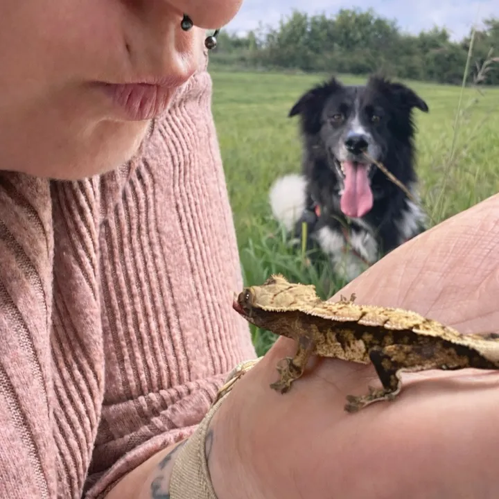 pawsandcreepycrawlers