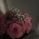 @miiia649