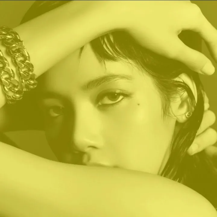 army_jk_blink_lisa111