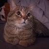 mimi.03d