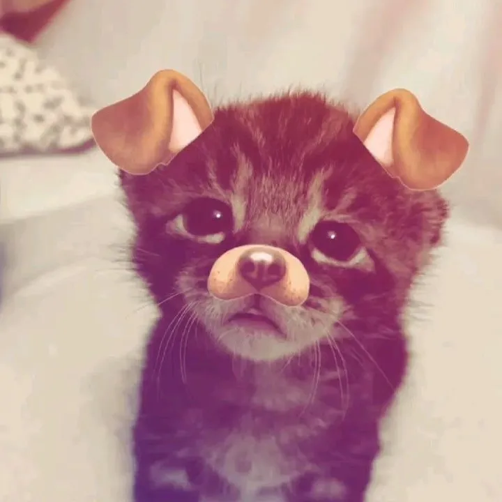 @safiixx999