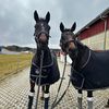 il_leonie2