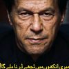 khan80444444444444