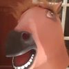 mr_sausage1537