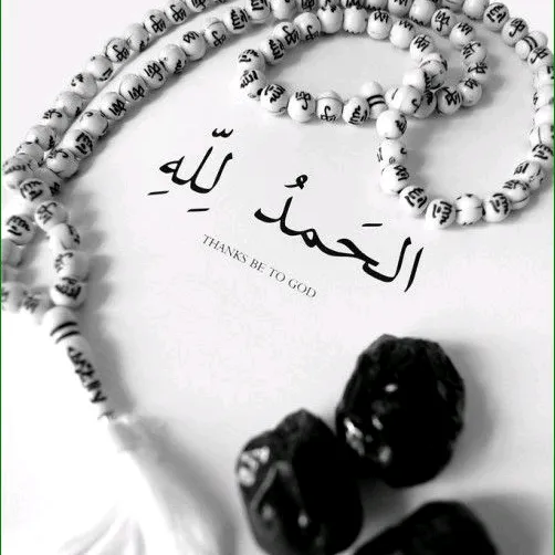 @kamranmir70