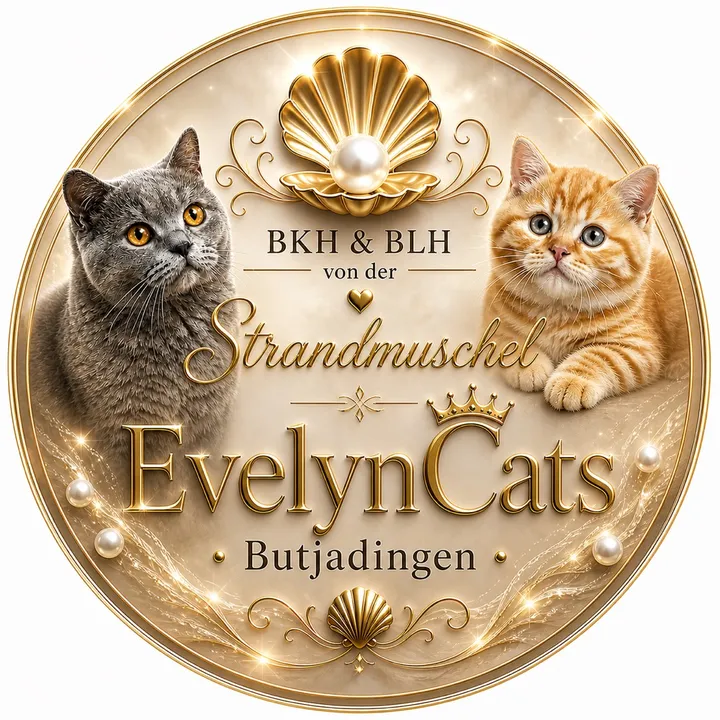 evelyncats231267