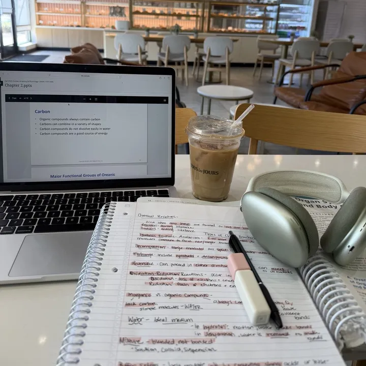 studyvibesonly1