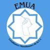 emualicante_