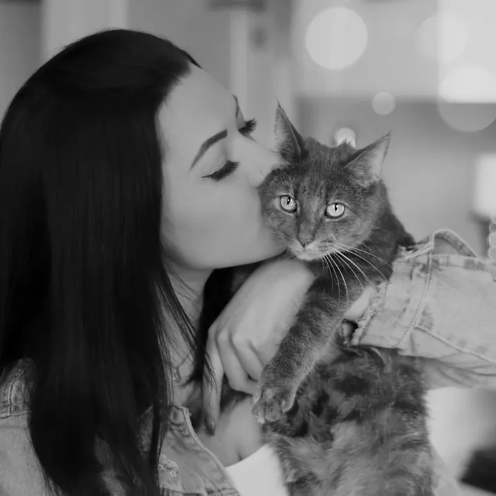 happykittycats_