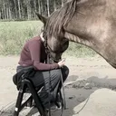 @emelie_tian