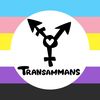 transammans