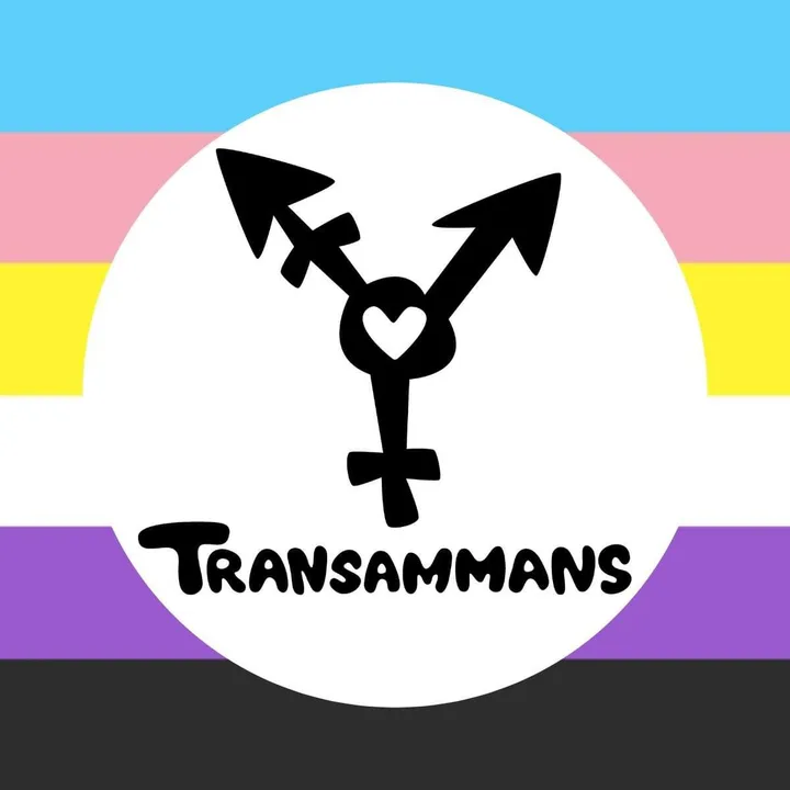 transammans