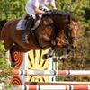 jumpingmare