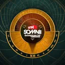@rfmsomnii