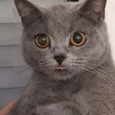 @kitty15122019