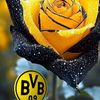 die_tante_naddell