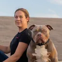 @bigdutchbullykennel2