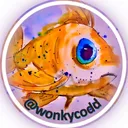 @wonkycodd