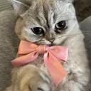 @emxzxaa