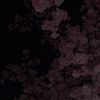 anonym.hnvr12