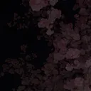 @anonym.hnvr12