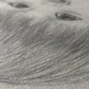 @kingsleycreatesar