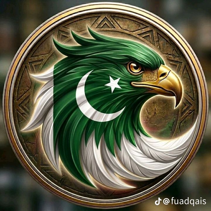 🦅 - original sound