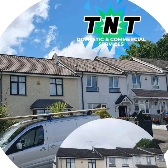 @tnt.cleaning.serv8