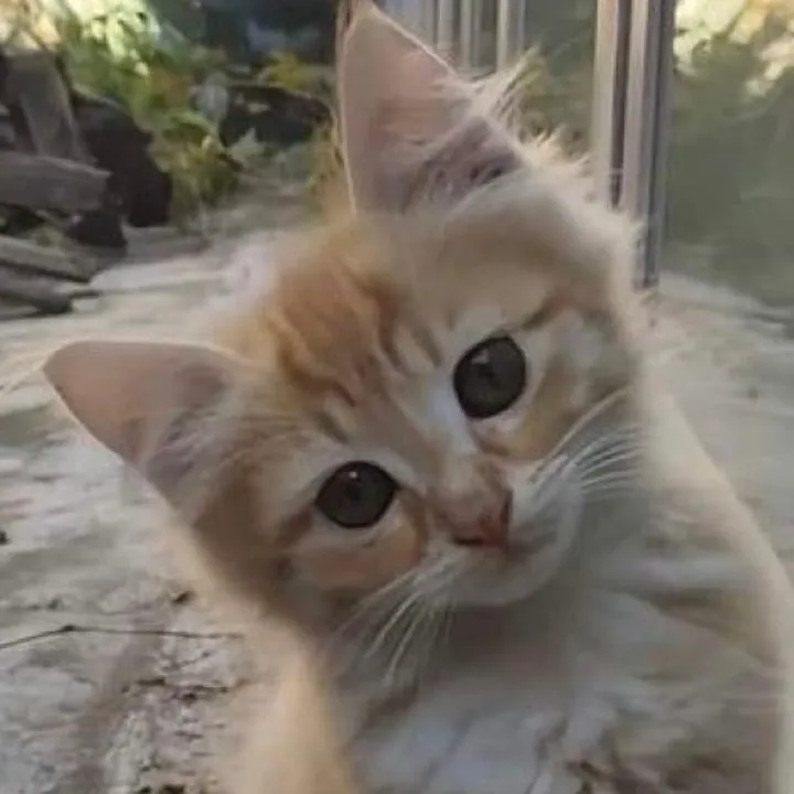 mollymoo03
