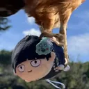 @fufukuyuo