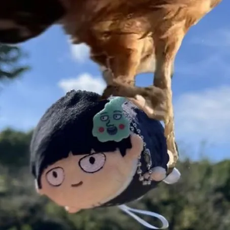 fufukuyuo
