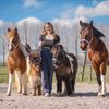 idh_horses