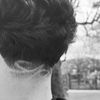 widel_dile