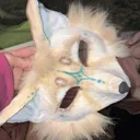 @theduckingfennec