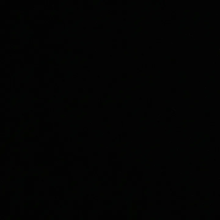 lia.homberg2