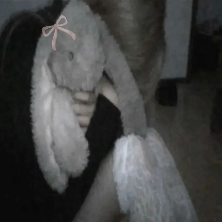 freminet_sneznevich