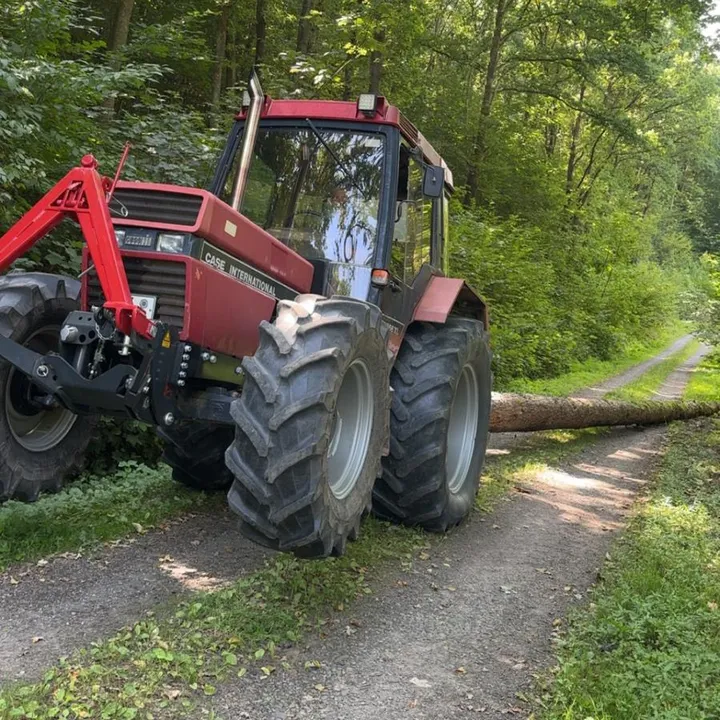 miggafenster