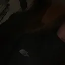 @elenaa.gnsee