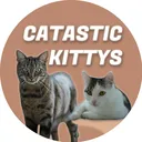 @catastic_kittys