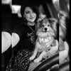 lanadogmom