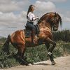 laurastiina