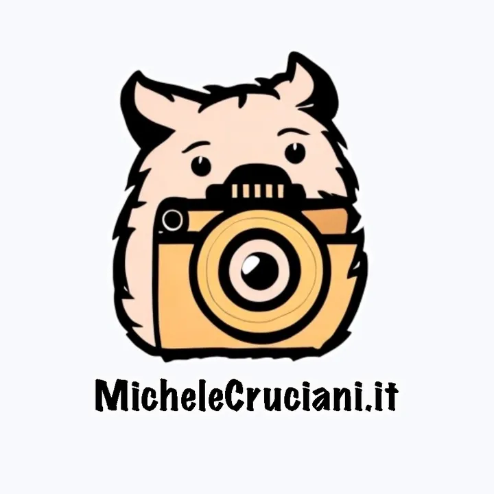 michelecruciani.it