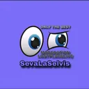 @sevaeszeha