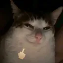 @iluvapfelfsaft