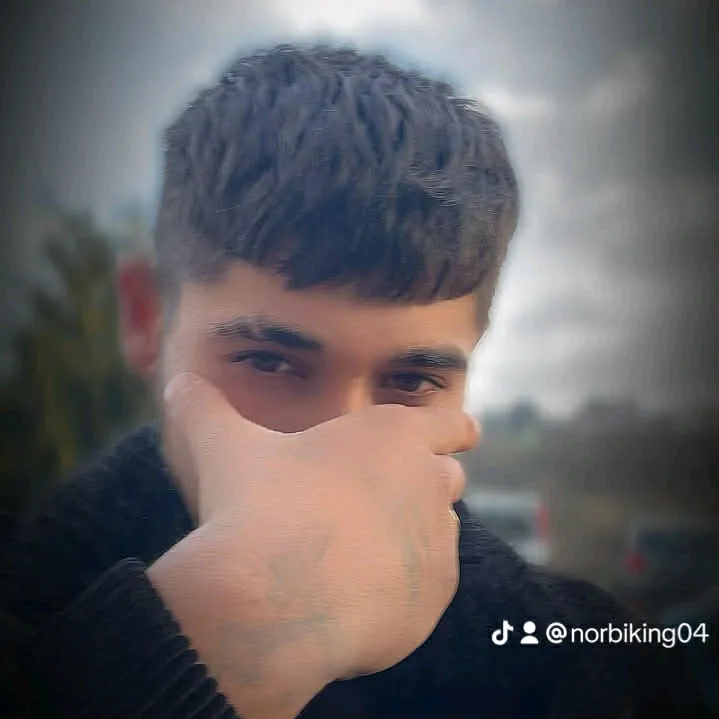 @norbibos