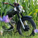 @89er..oli..s51