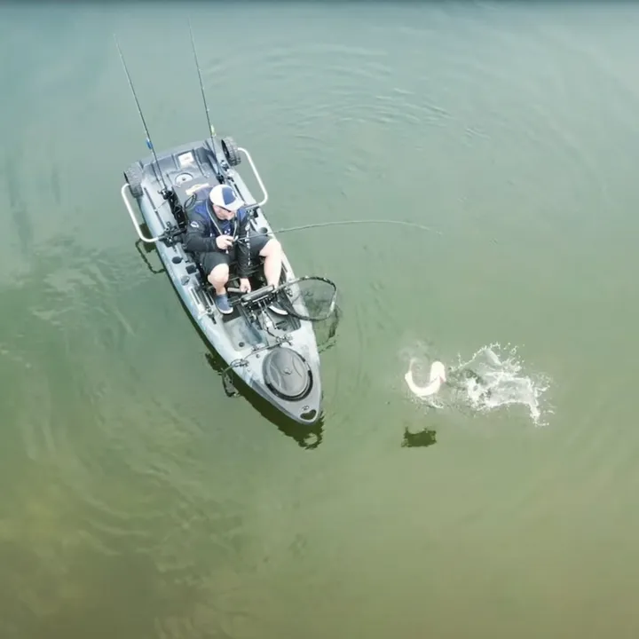 jurassic_perch