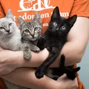 @eurocatadventures