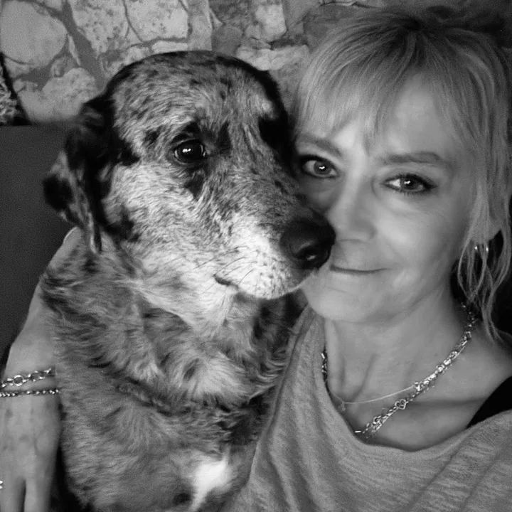@sina_mellow_dreamdogs