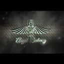 @angel.customs.ltd